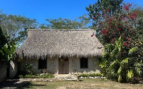 Hacienda Guesthouse With Private Cenote